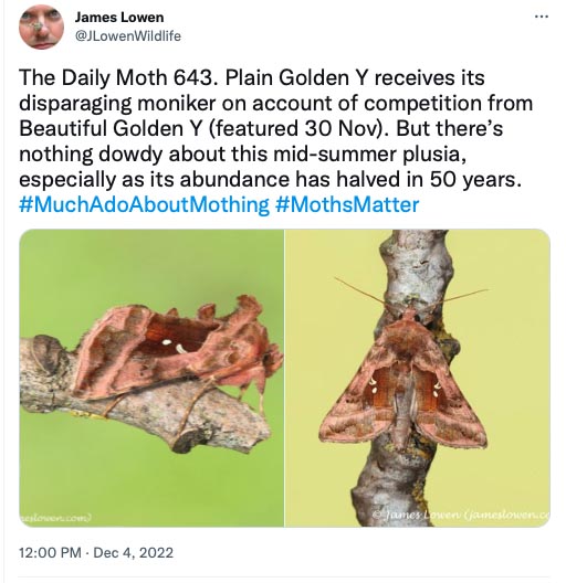 643.jpg