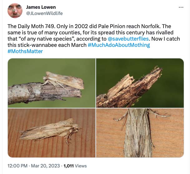 The Daily Moth 700-749