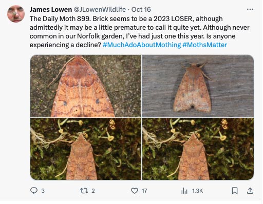 The Daily Moth 850-899