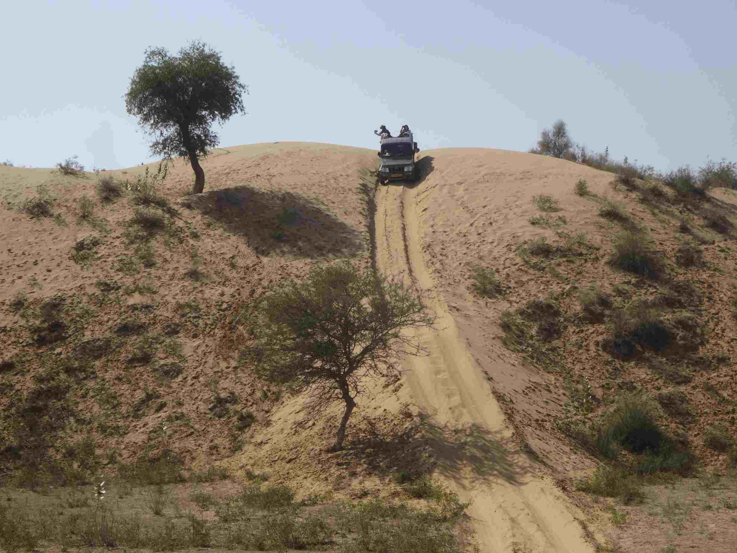 Desert_dune_ride.jpg