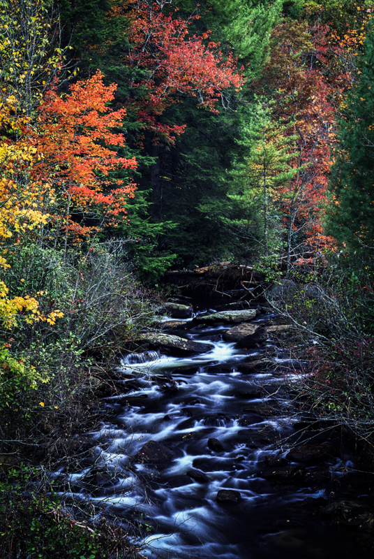 Smoky Mountains