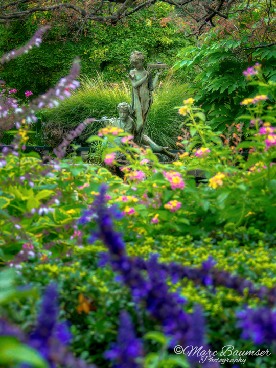 Central Park 1310487