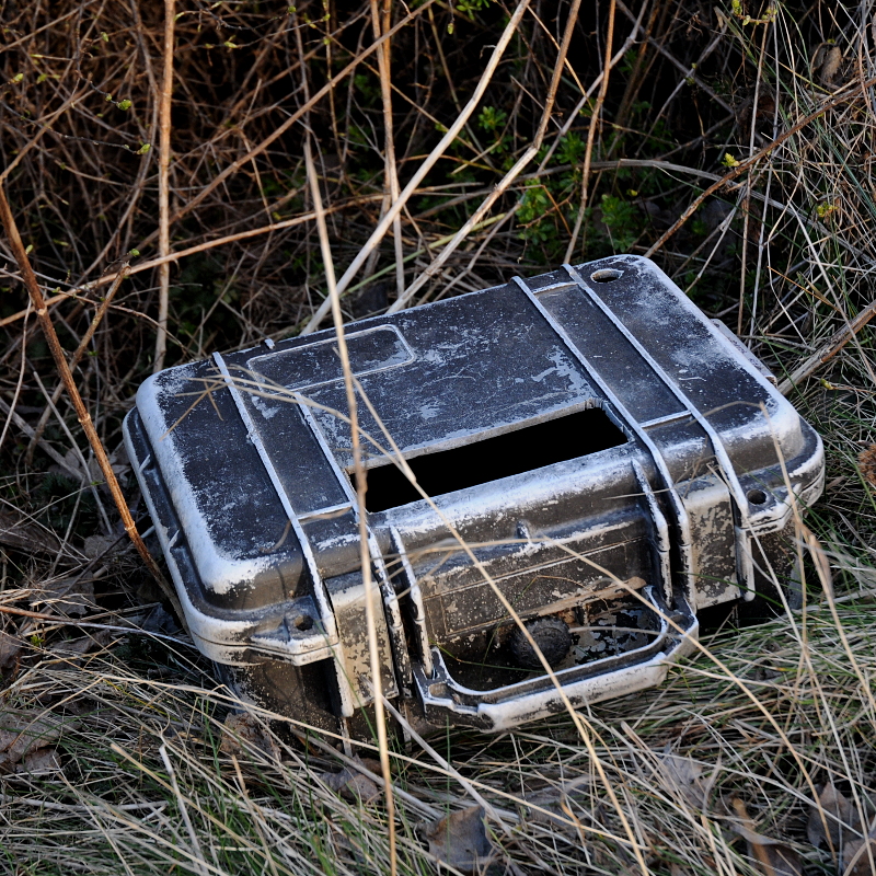 forgotten case