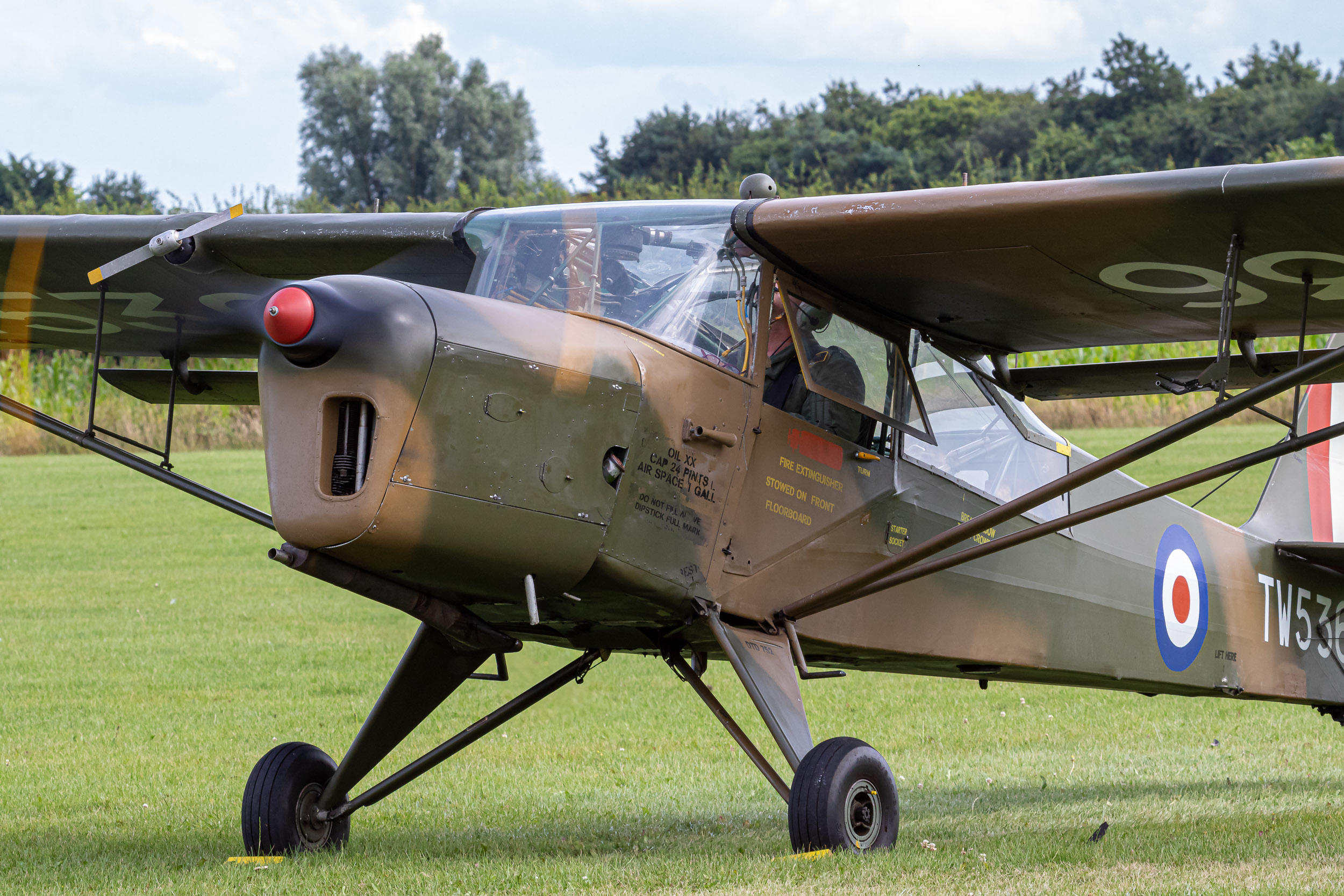 Auster AOP.6 IMG_9802.jpg