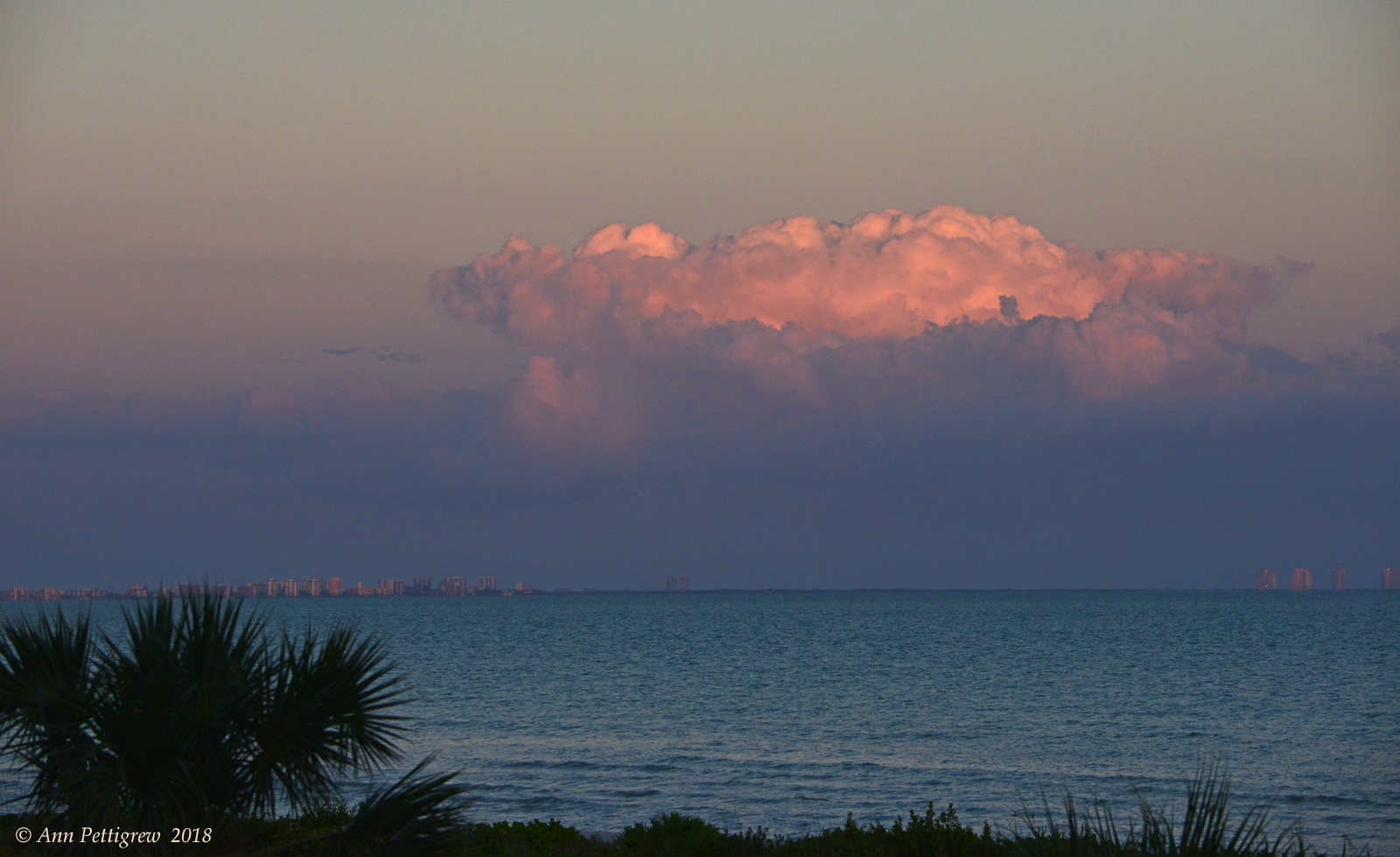 Storm Clouds over the Gulf
