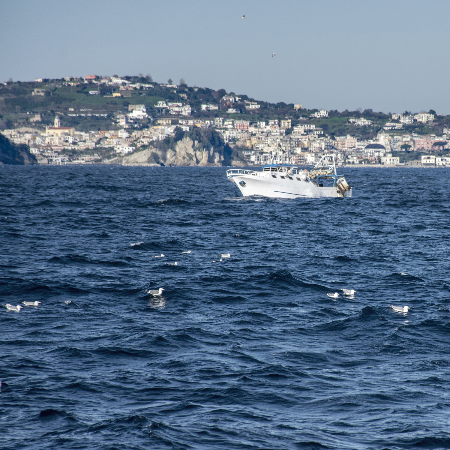 Procida