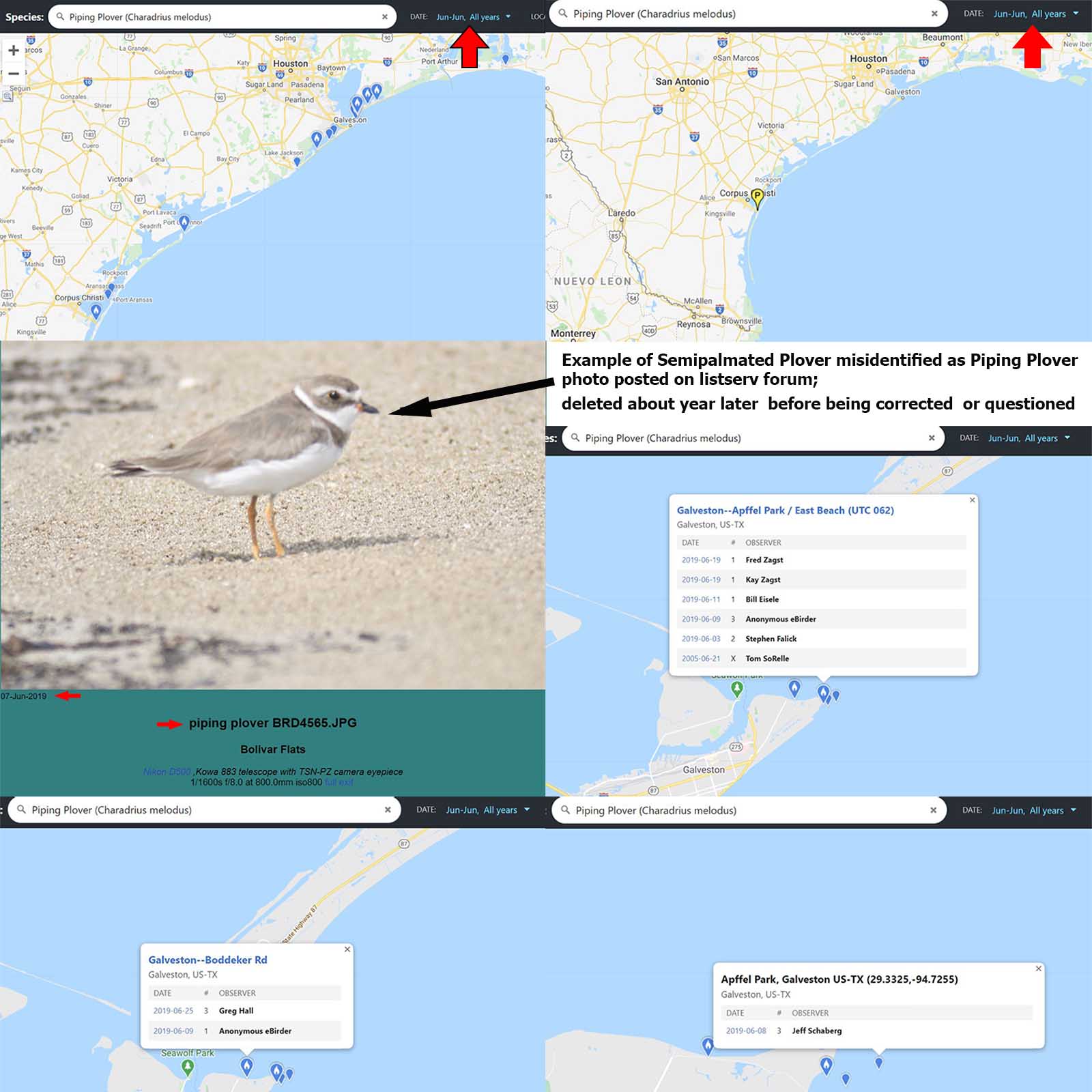 PIPL  EBIRD JUNE RECORDS.jpg