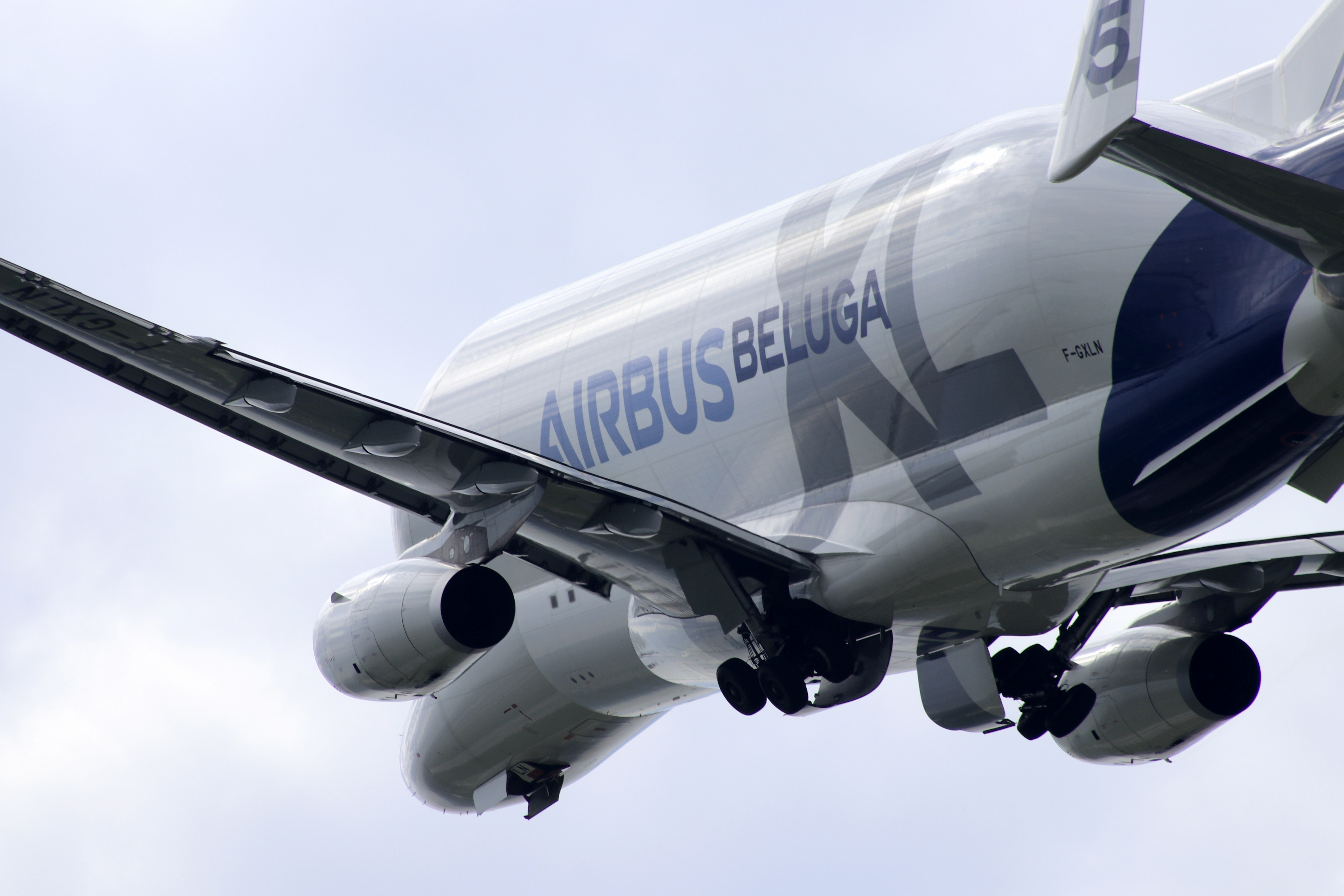 Beluga F-GXLN