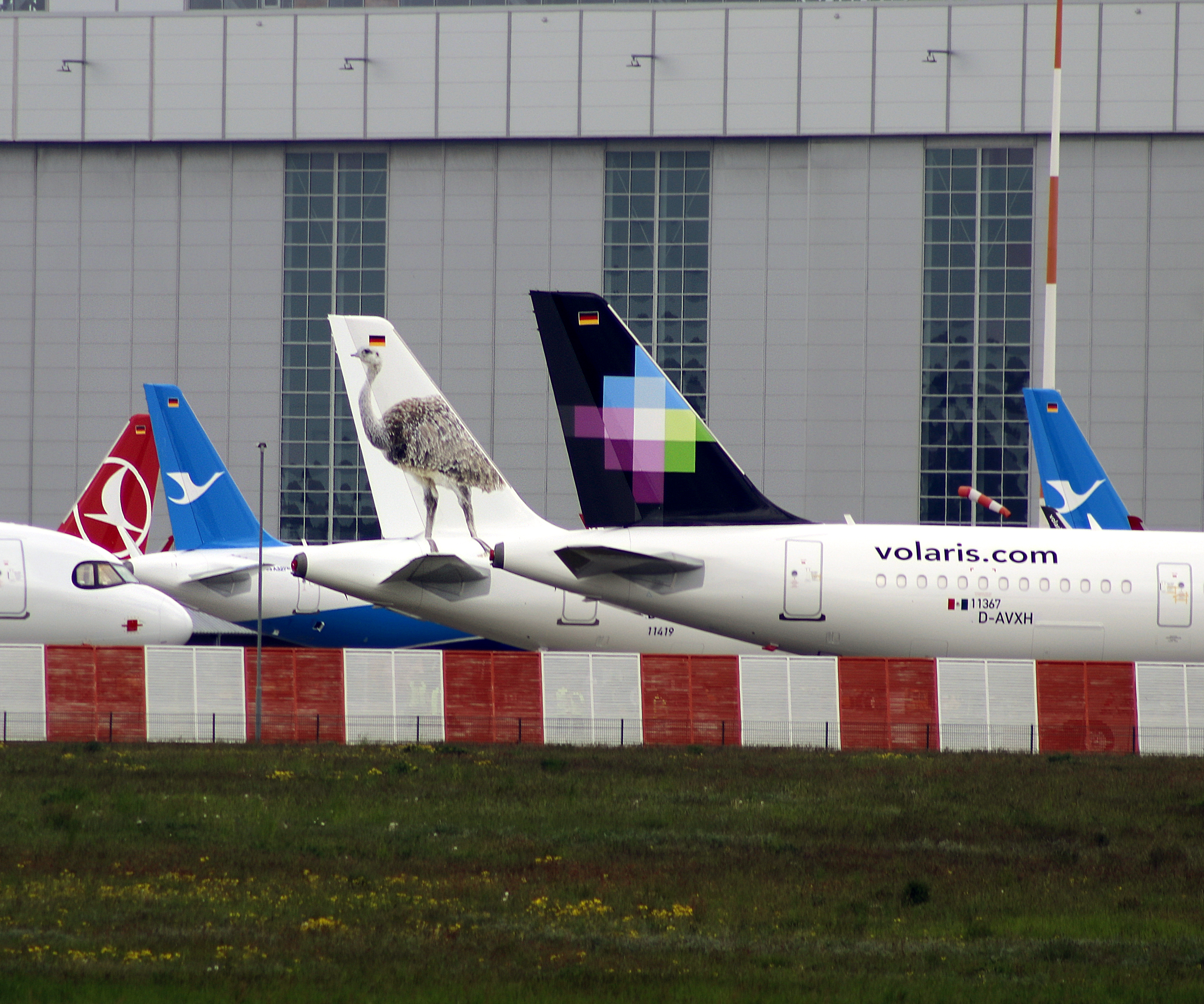 XFW view