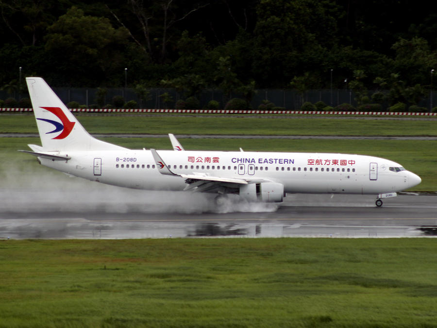 B737-800(WL) B-208D