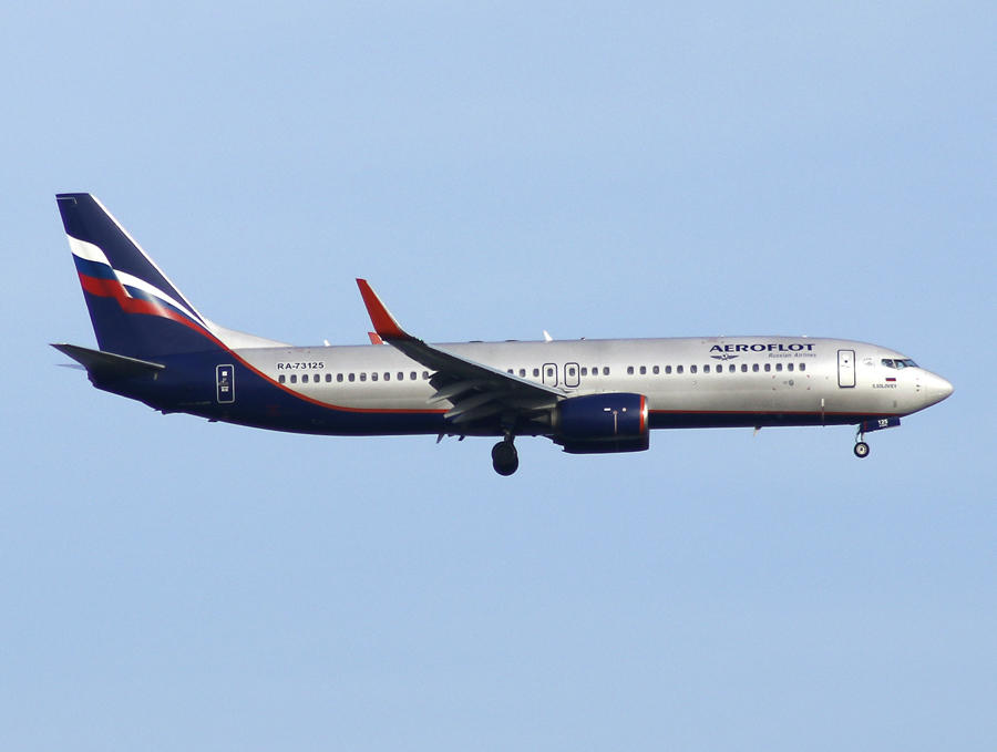 B737-800(WL) RA-73125