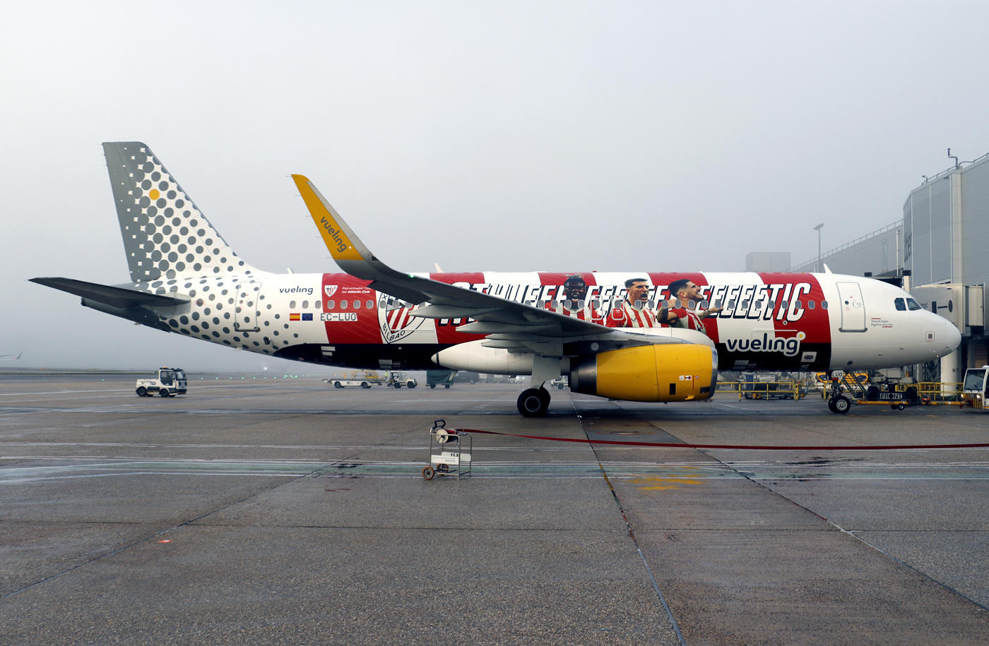 Airbus A320-200 EC-LUO 