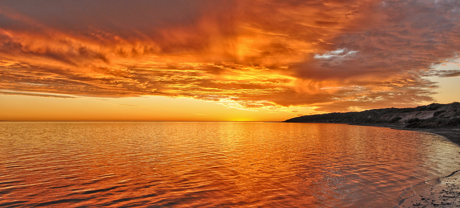 Shark Bay sunset