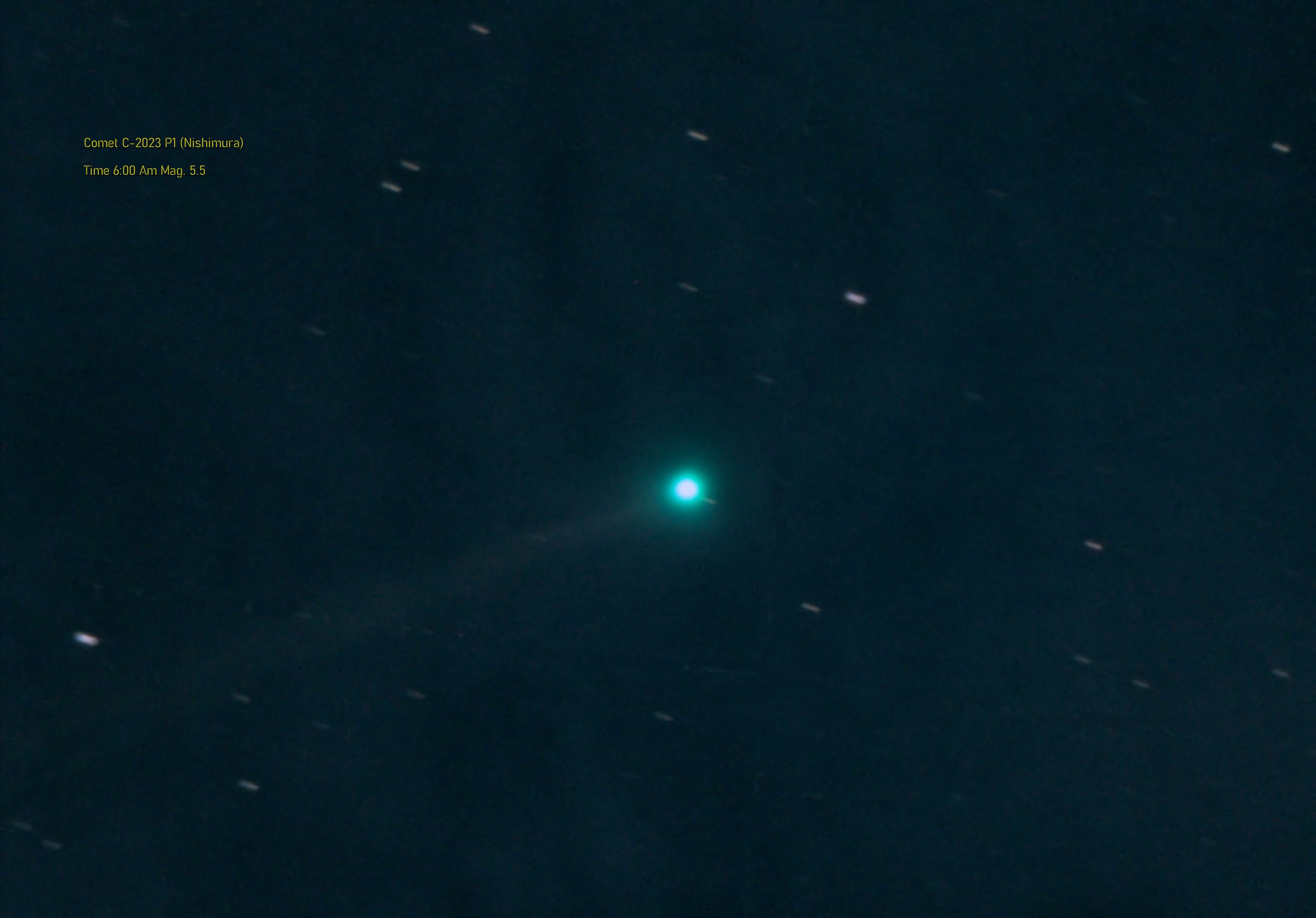 Comet C-2023 P1 (Nishimura)  Time 6 Am Mag 5 -5.
