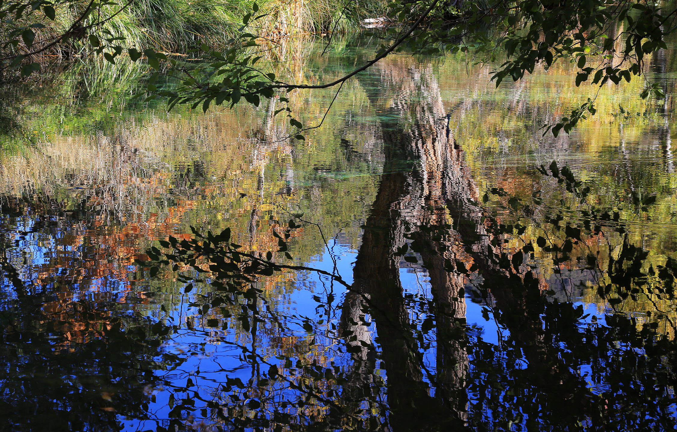 0054-3B9A9745-Creek Reflections of Autumn.jpg