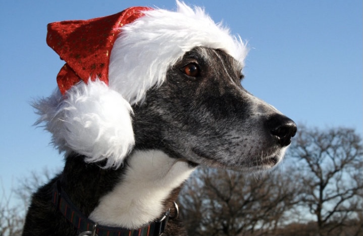 With very best wishes to PBasers everywhere