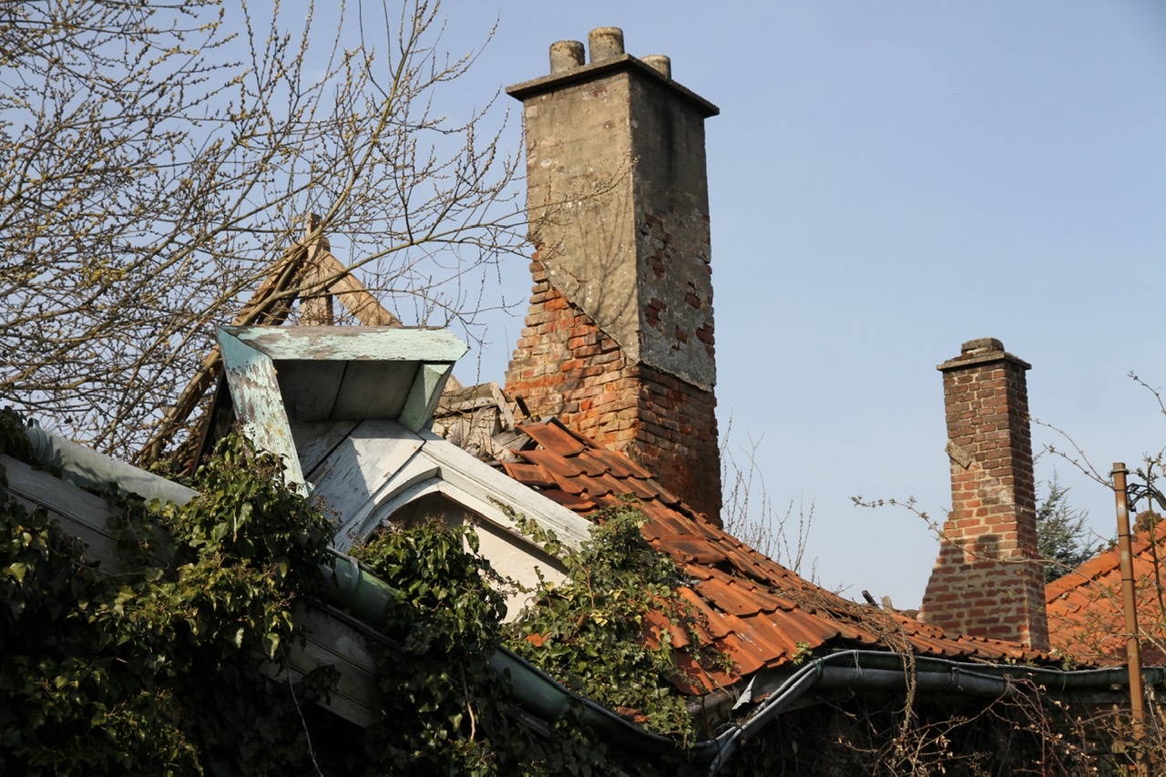 Overgrown, season by season