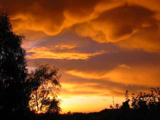 S for Sunset
