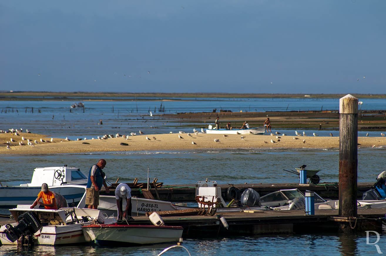 A Ria Formosa Junto a Olho