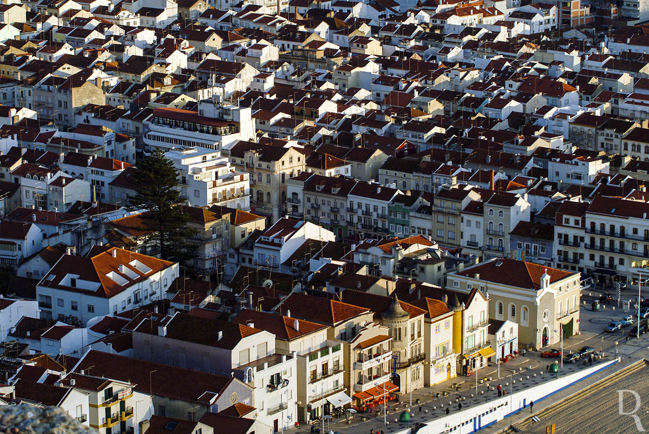 A Nazar em 14 de janeiro de 2006