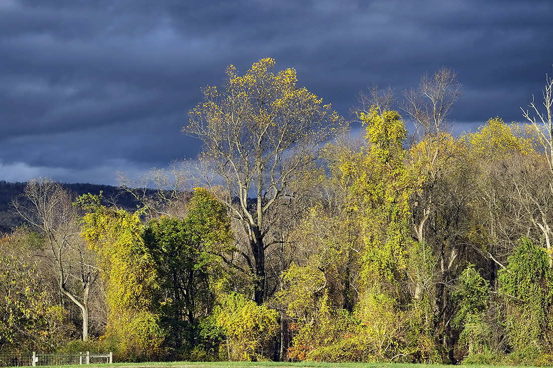 Catching the Light.  Fall in Central Pennsylvania