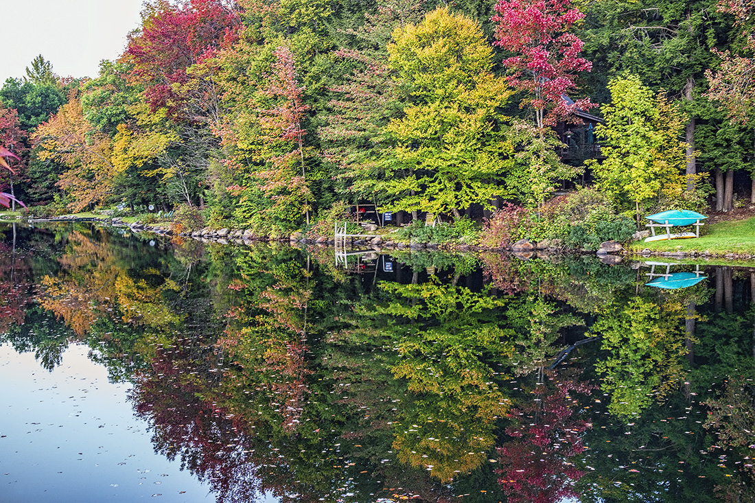 Reflections Vt., Fall 2014