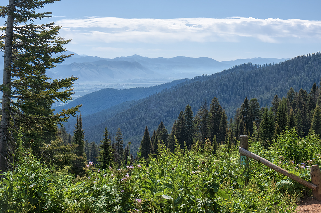 Rocky Mountain Pass 