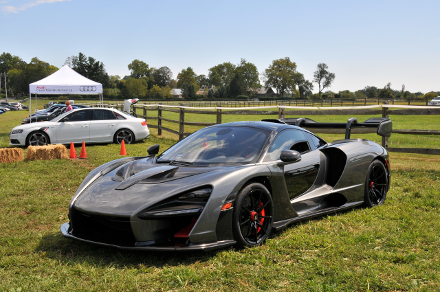 2019 McLaren Senna (6800)