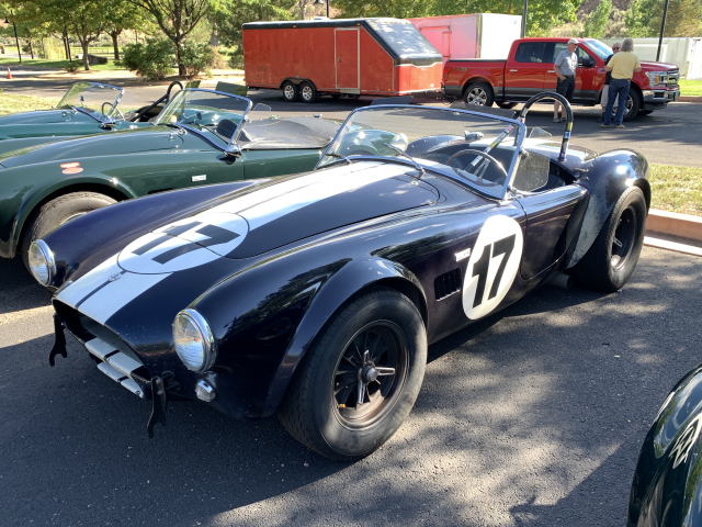 Genuine, original and rare Shelby Cobra from the 1960s. (8956)