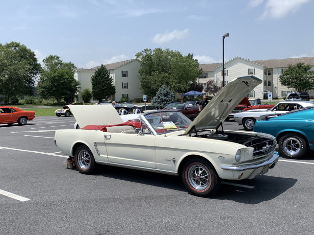1965 Ford Mustang (3466)