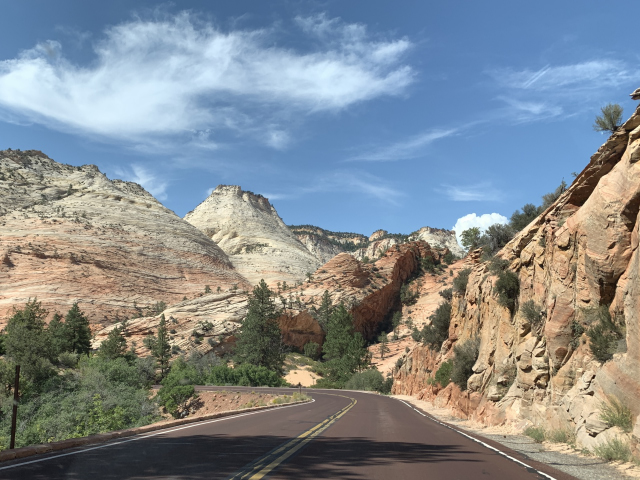 Zion National Park, Utah (4630)