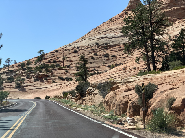 Zion National Park, Utah (4631)