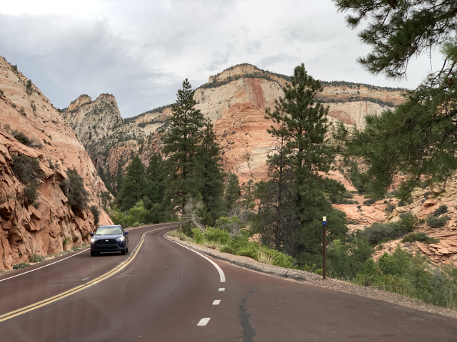 Zion National Park, Utah (4873)