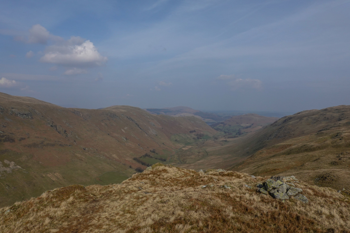 Bordale