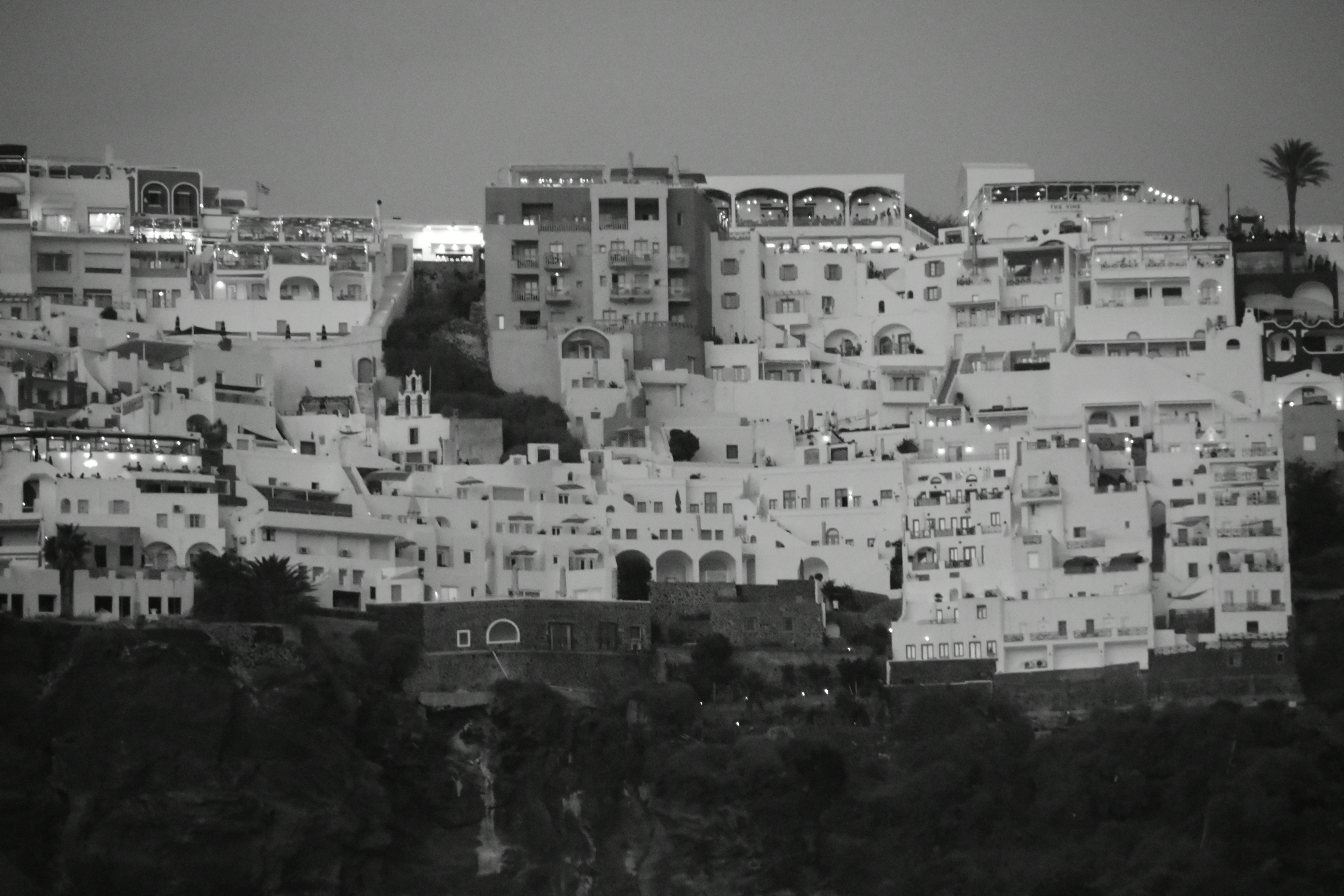 DSC_1195.JPG