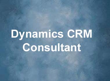 Dynamics CRM Consultant