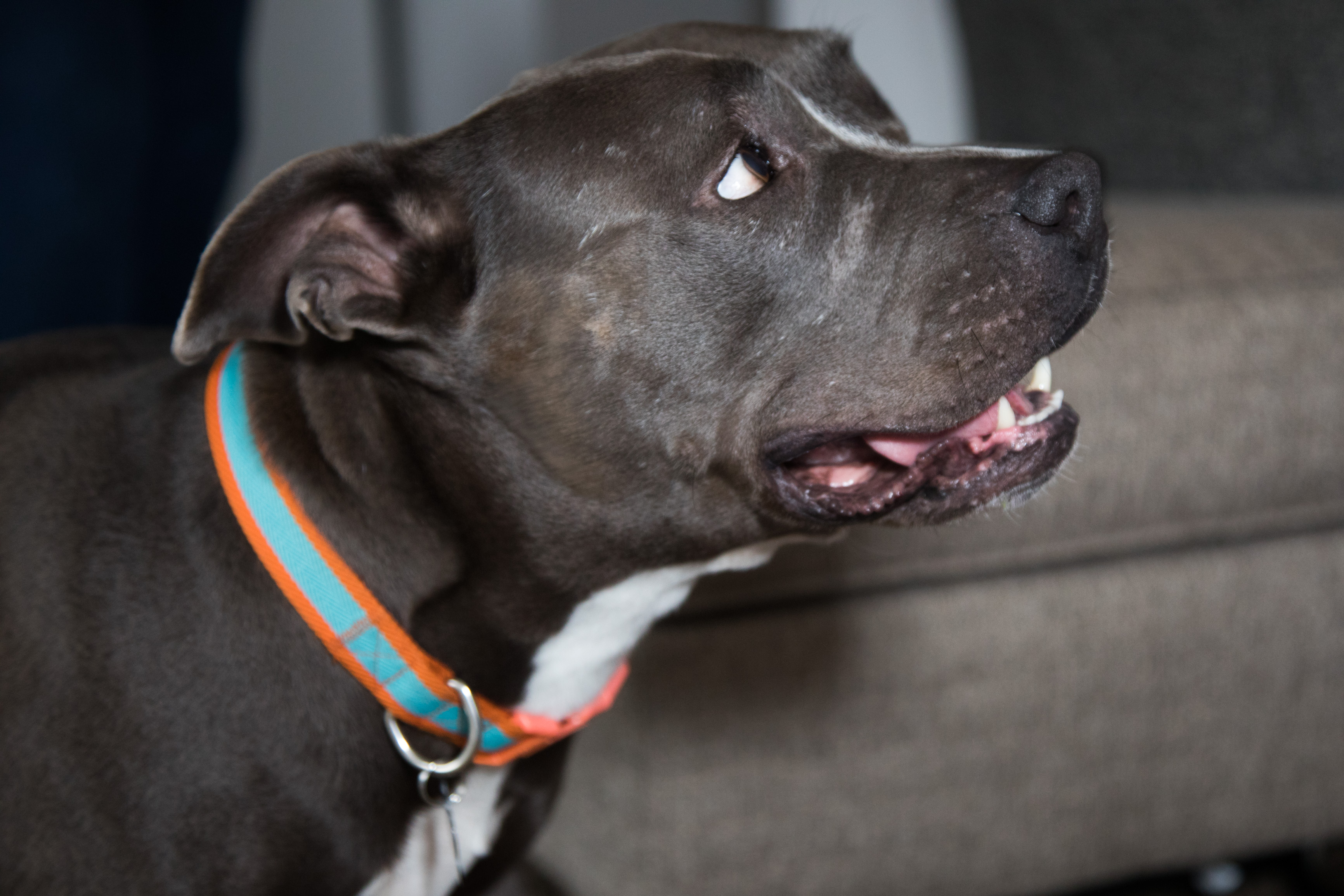 20191110_FDNLS_Harriet_Shoot01_200.jpg