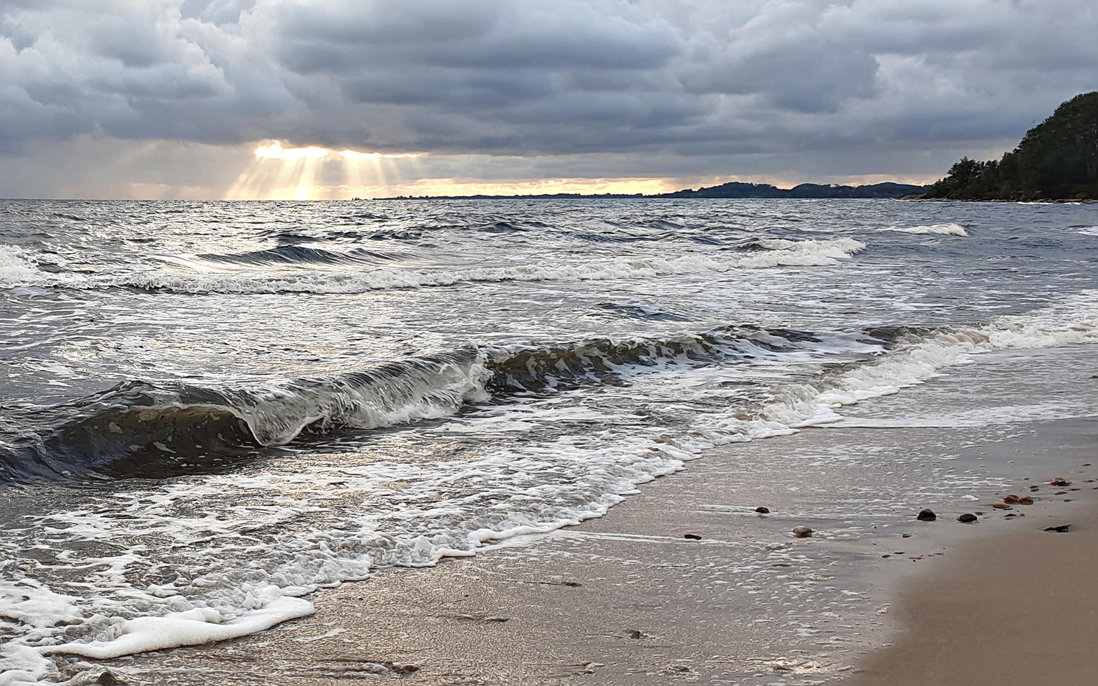 Hundpromenad vid havet