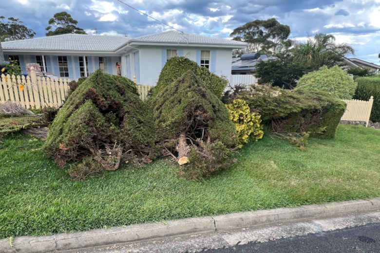 Green waste on the verge in Mollymook 2539