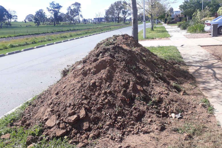 Canberra Soil Disposal On the Side of the Street