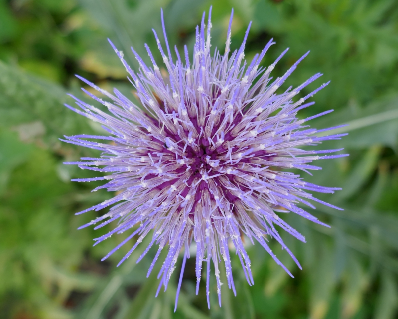 Spikes