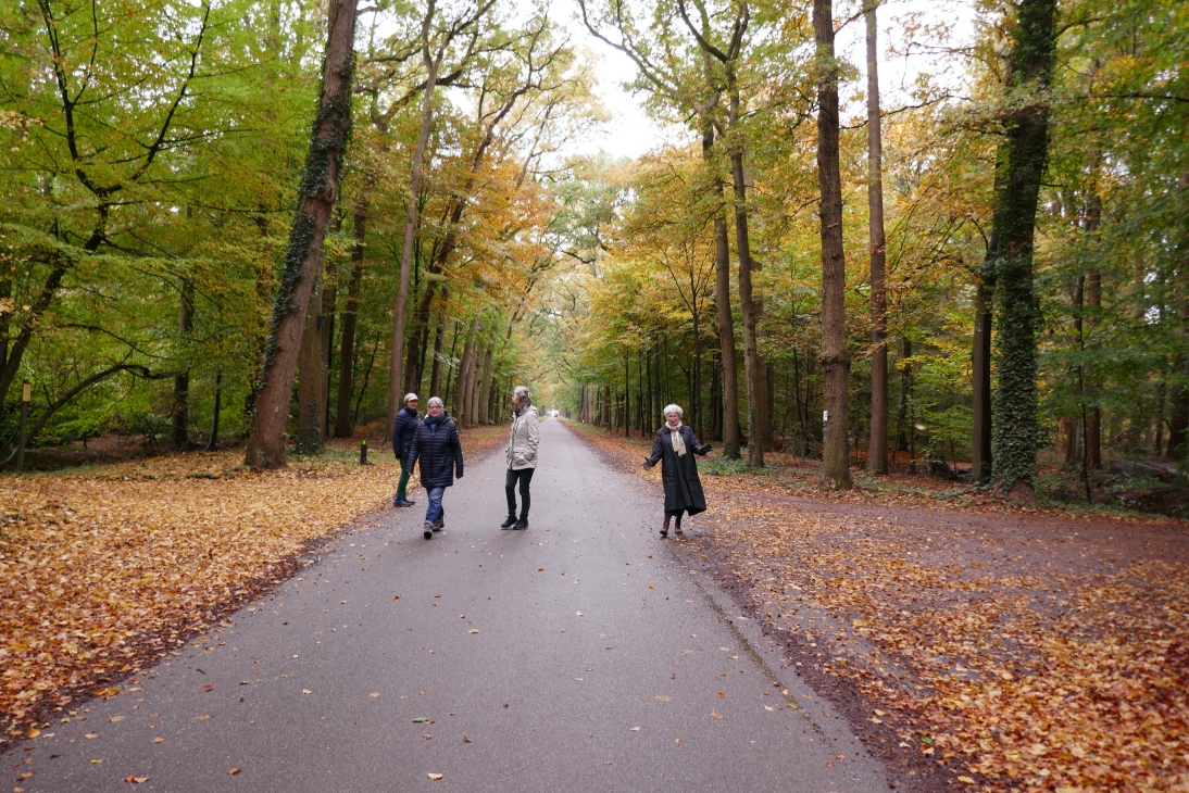 Walking