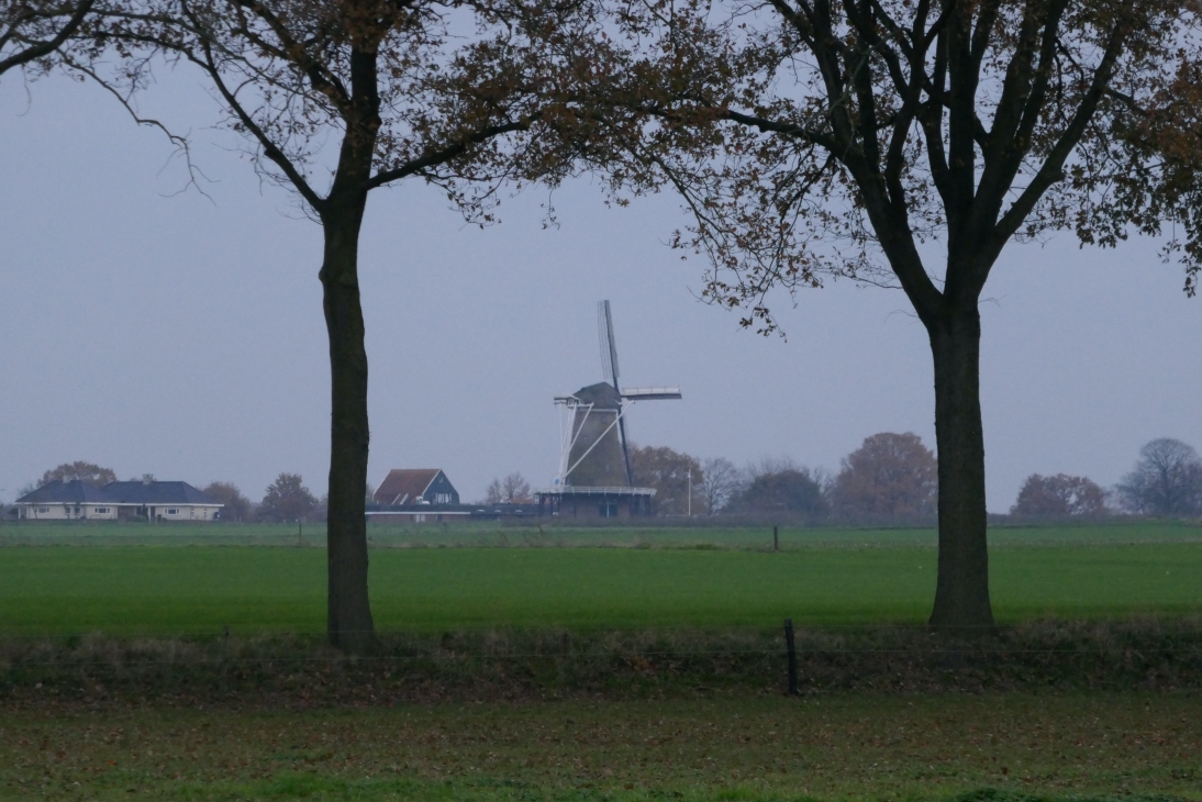 Windmill