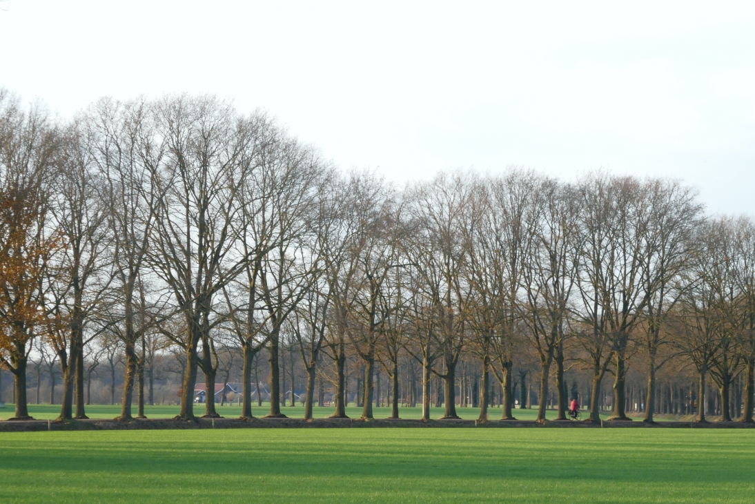 Country side