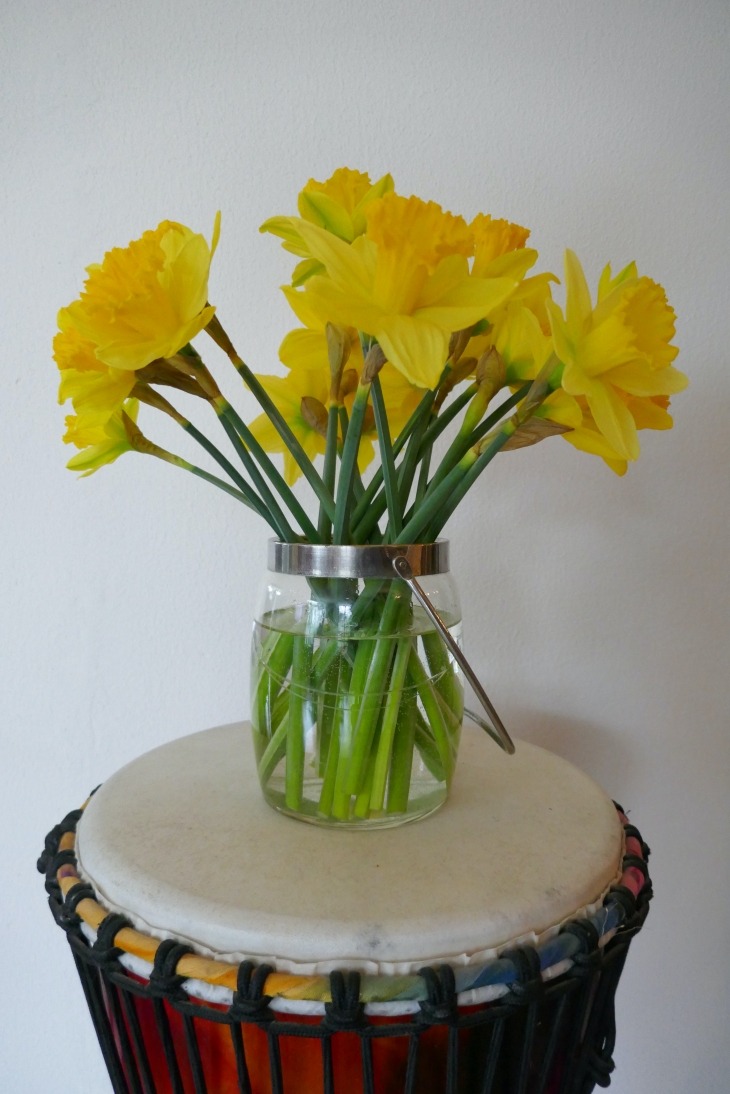 Daffodils