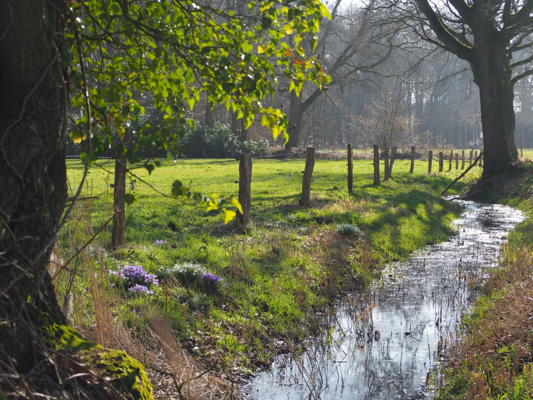 A little creek