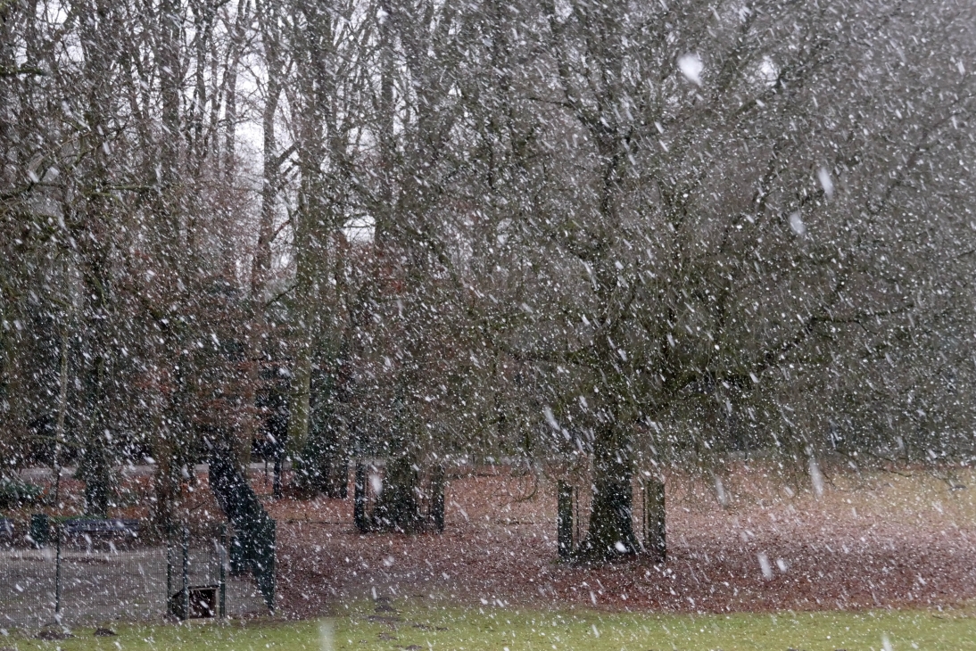 Snowflakes
