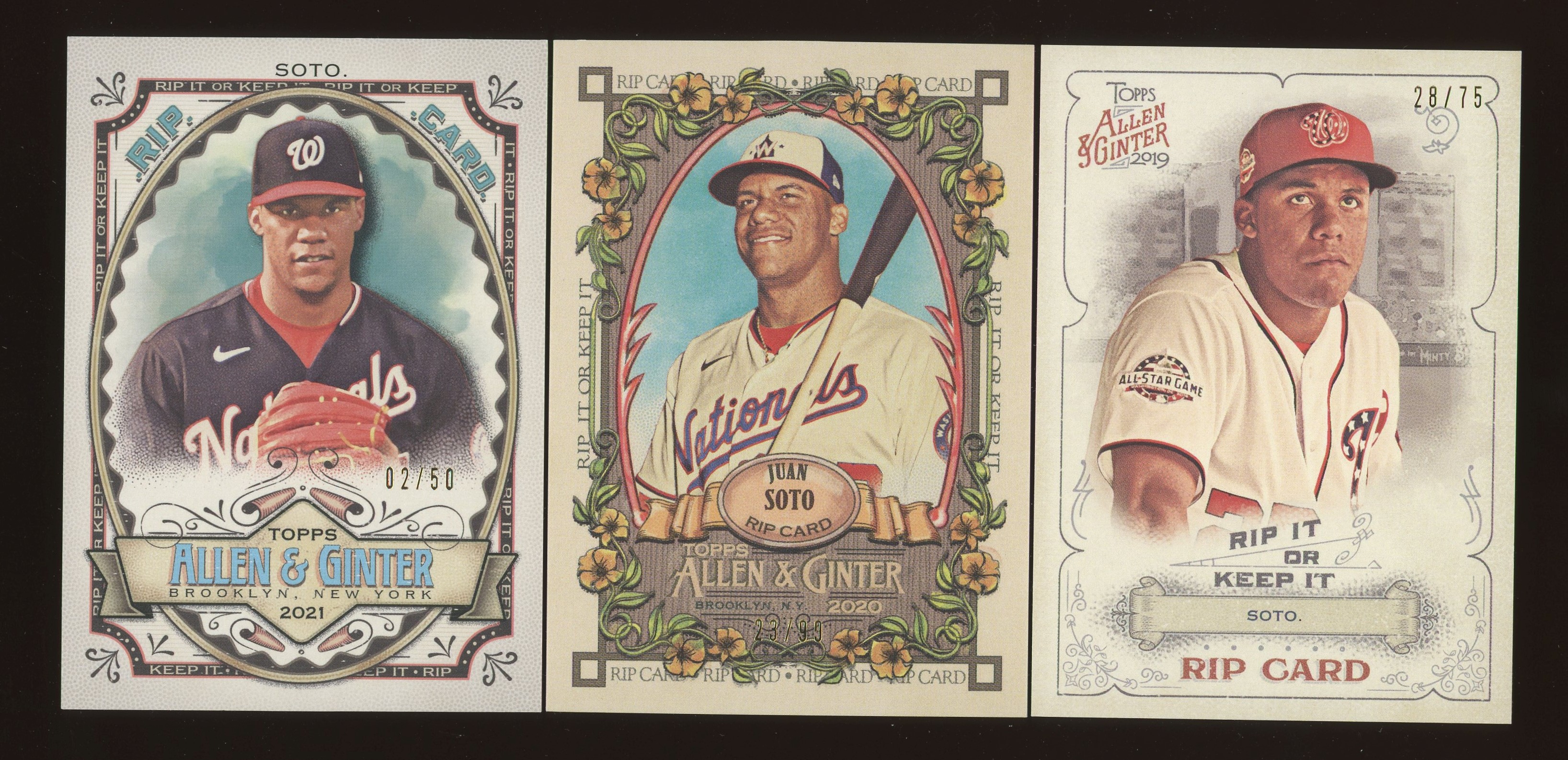 ginter264.jpg