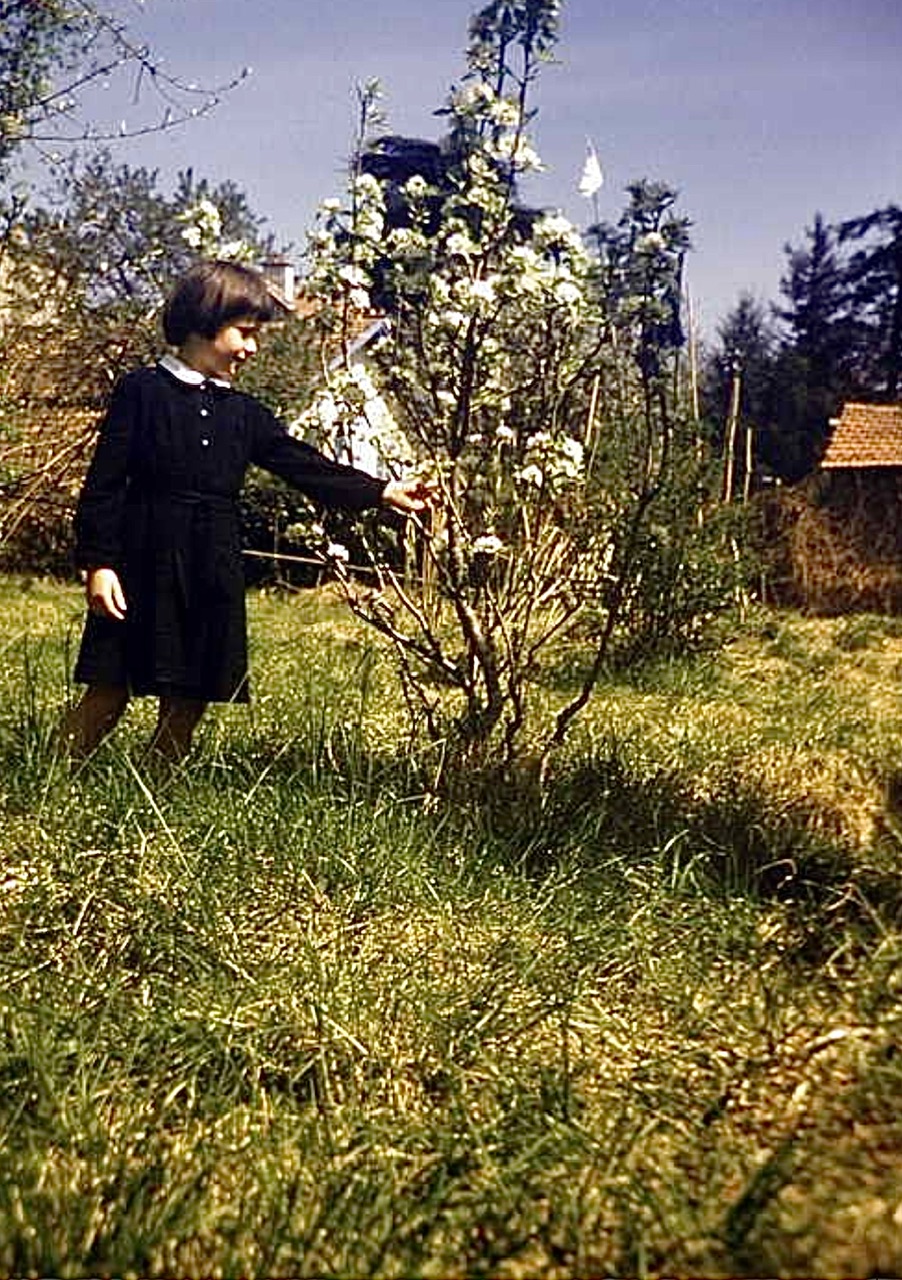  Hlne 5 ans 1/2 dans le jardin de la petite maison devant un poirier en fleur