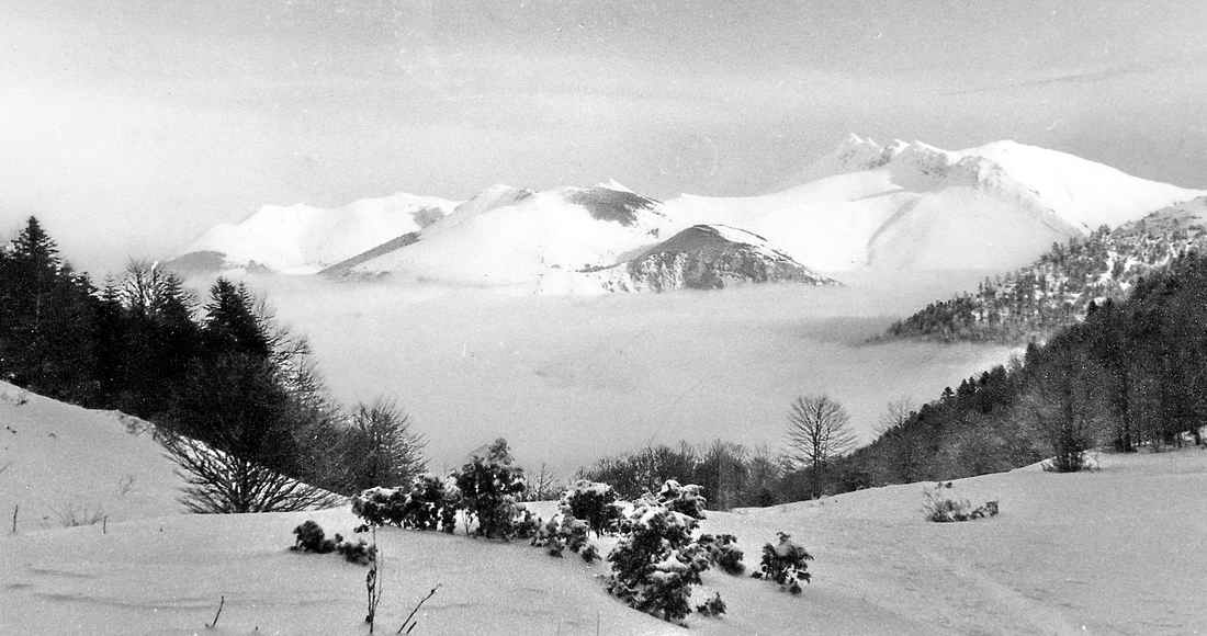 Vallon de la Hrerre en Valle dOssau